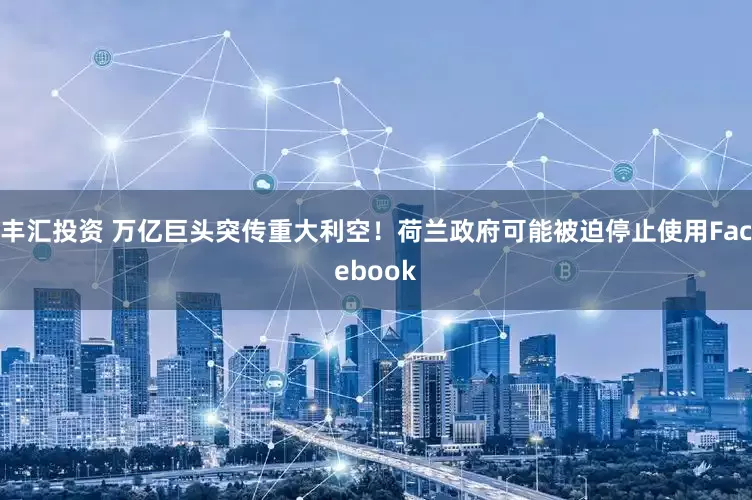 丰汇投资 万亿巨头突传重大利空！荷兰政府可能被迫停止使用Facebook