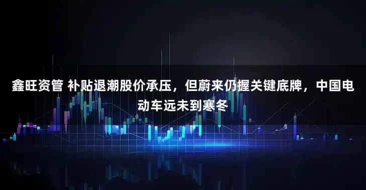 鑫旺资管 补贴退潮股价承压，但蔚来仍握关键底牌，中国电动车远未到寒冬