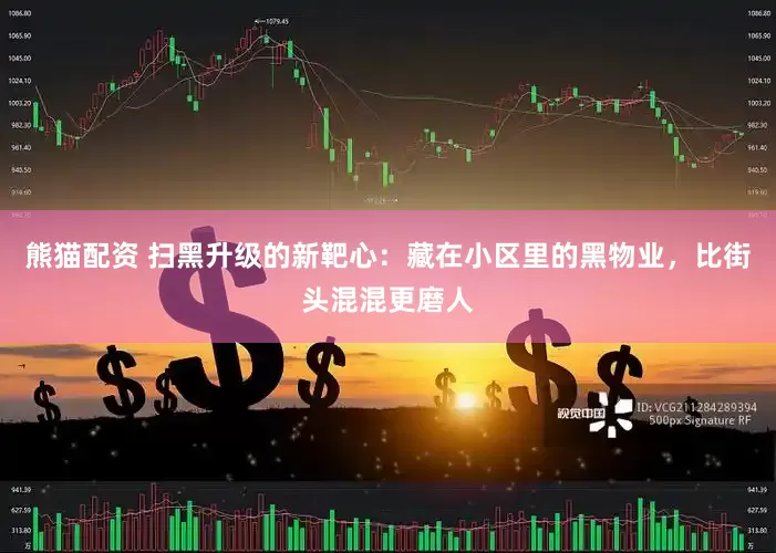 熊猫配资 扫黑升级的新靶心：藏在小区里的黑物业，比街头混混更磨人