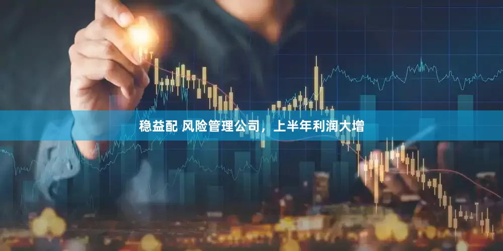 稳益配 风险管理公司，上半年利润大增